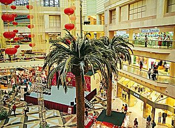 《Hytale》被拳头取消开发 玩家征集签名要求恢复制作